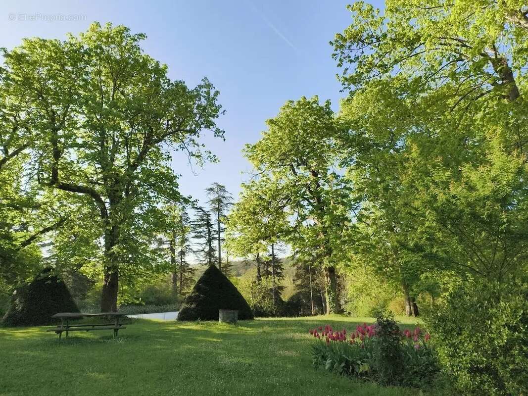 Domaine Gascon de Charme avec Chambres d'Hôtes et Gîtes au Cœur de 14 Hectares de Nature Préservée - photo 19