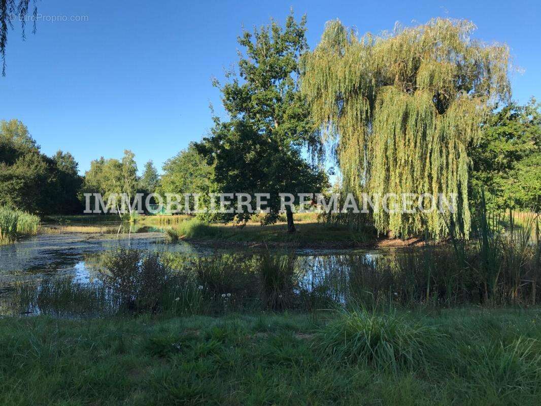 Maison à PIERREFITTE-SUR-SAULDRE