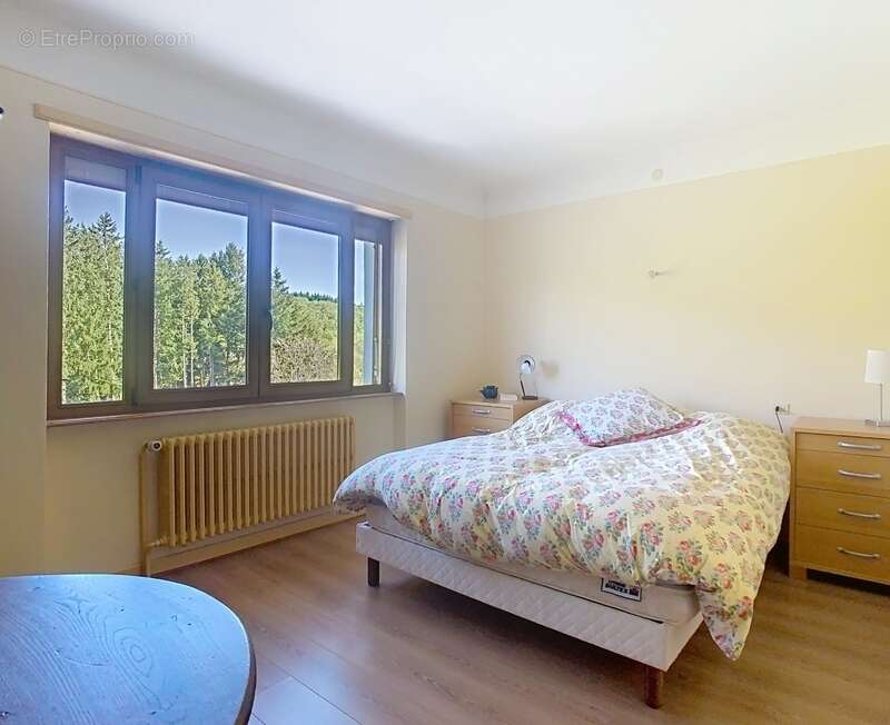 Propriété de caractère de 340 m² sur un terrain arboré de 35,5 ares avec piscine couverte MASEVAUX NIEDERBRUCK - photo 4