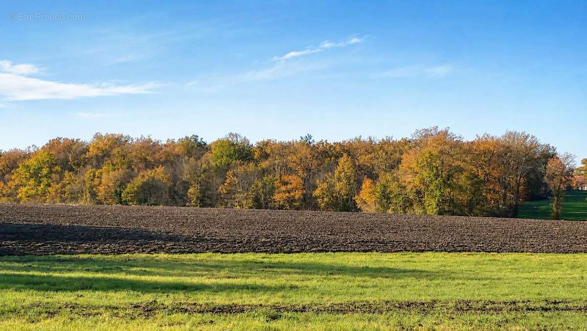 Terrain à JEU-LES-BOIS