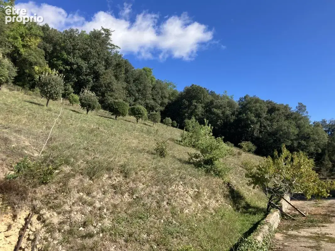 Terrain constructible de 7723m2 avec vue sur la Dordogne à Castels-et-Bézenac - photo 3