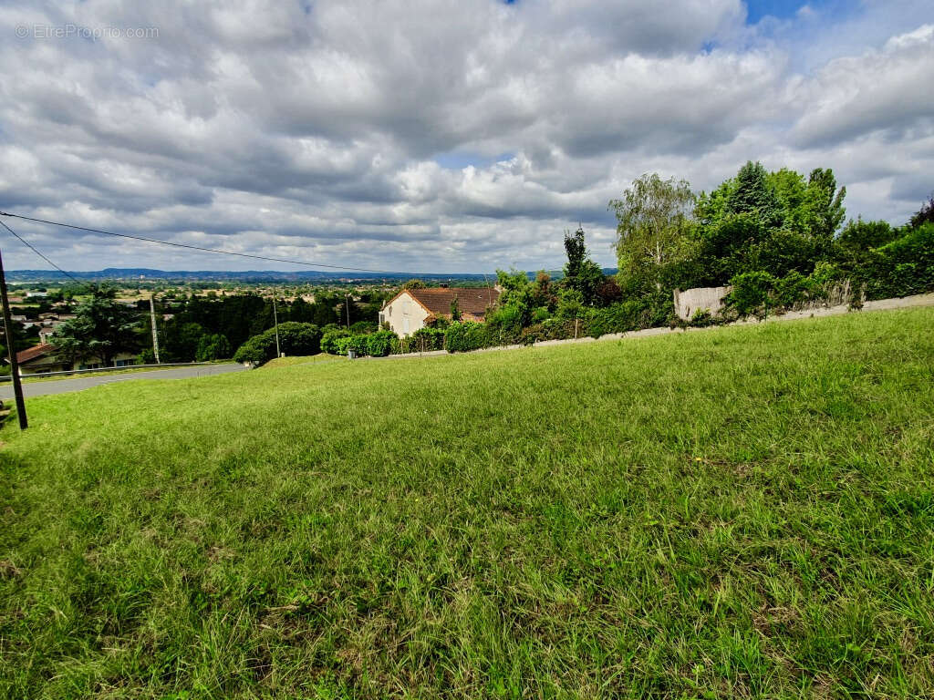 Terrain à LESCURE-D'ALBIGEOIS