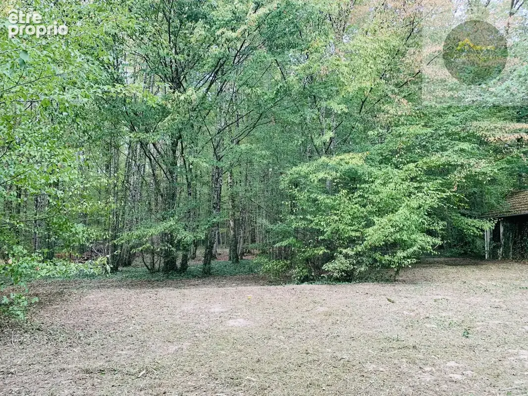 Domaine residendiel avec etangs - photo 9