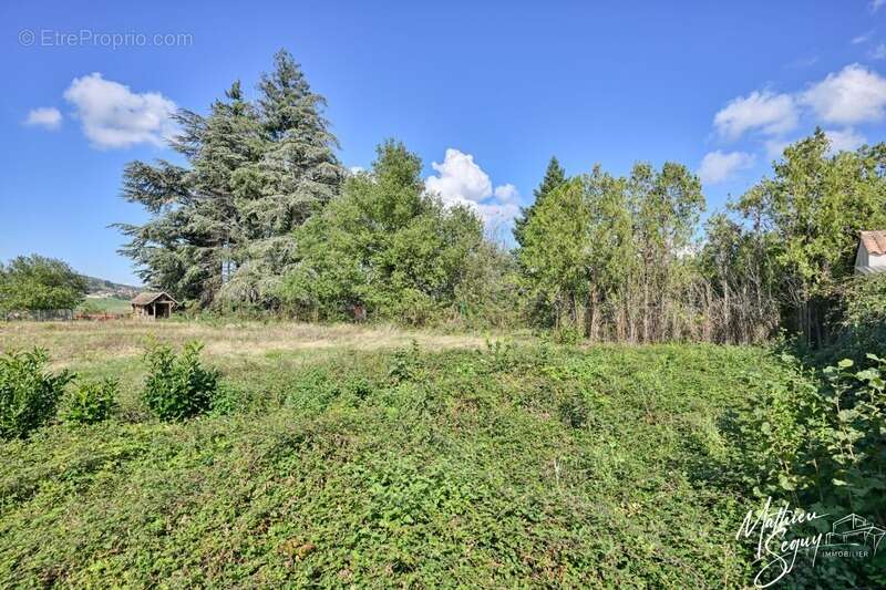 Terrain à POLLIONNAY