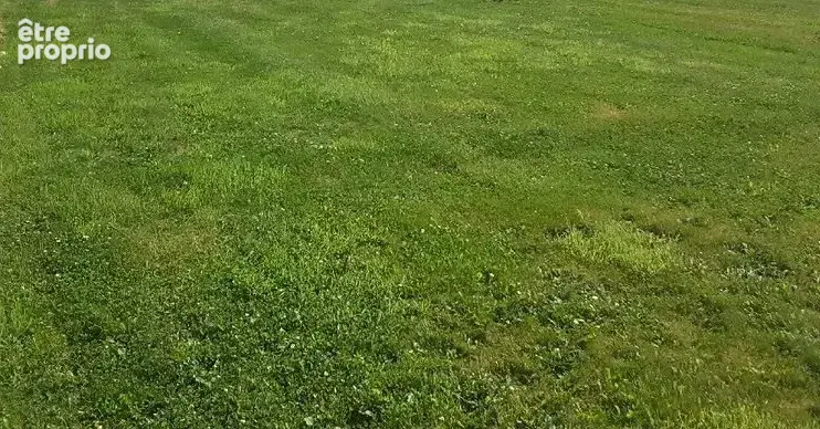 Terrain à CARROUGES