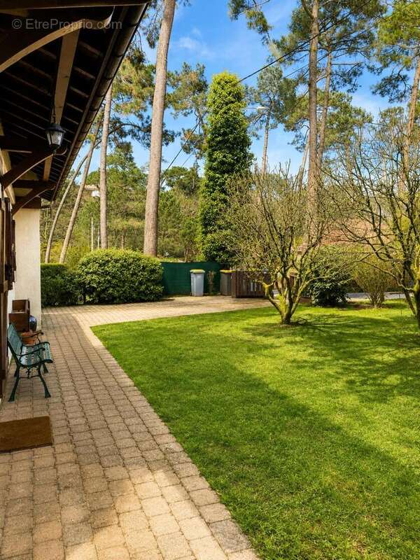 Photo 5 - Maison à LA TESTE-DE-BUCH