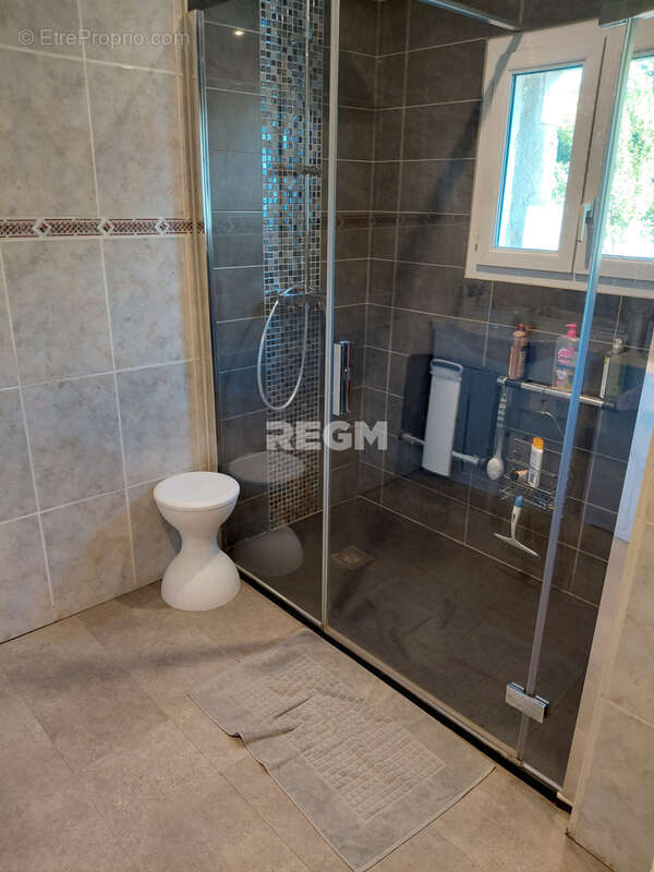 Très bel ensemble immobilier, comprenant maison avec piscine dans parc, grande serre pour tous légumes, hangar - photo 9