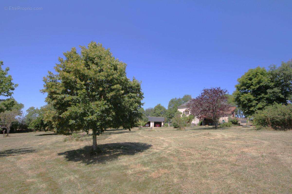 Propriété - photo 3