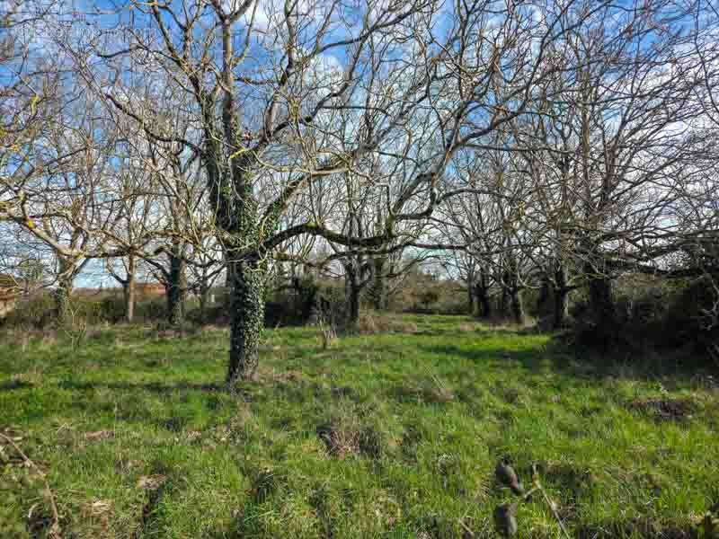 Terrain à bâtir - photo 3