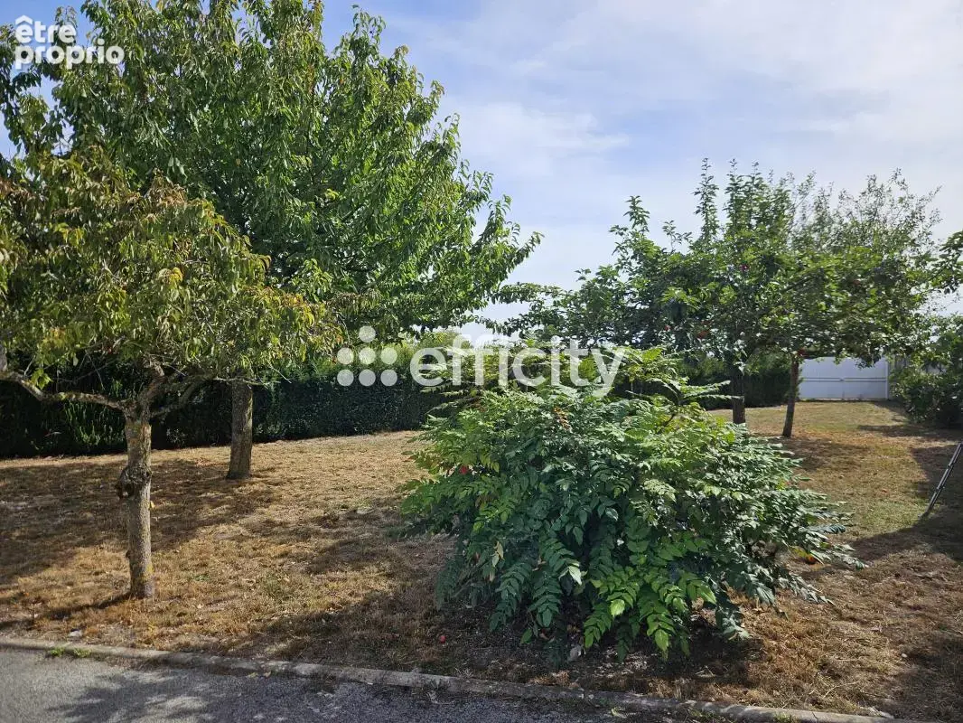 Maison 5 pièces 125 m² à vendre à Bouzy (51150) - photo 2
