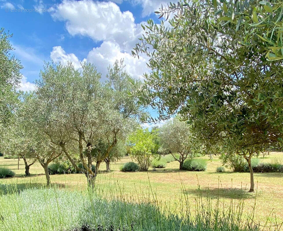 Maison à LE CANNET-DES-MAURES