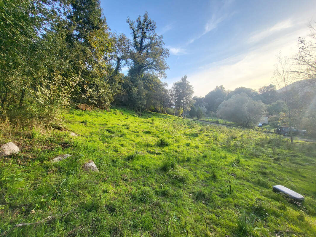 Terrain constructible 1500m2 - forciolo - photo 2