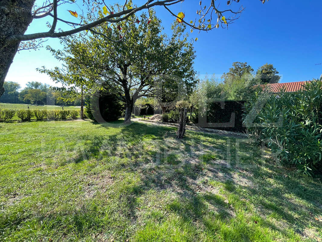 Maison à LABRUGUIERE