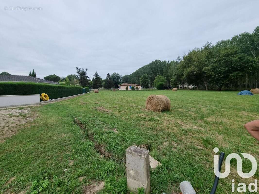 Photo 3 - Terrain à CASTELJALOUX