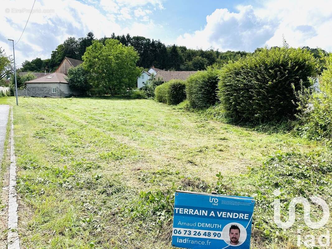 Photo 1 - Terrain à SEPPOIS-LE-HAUT
