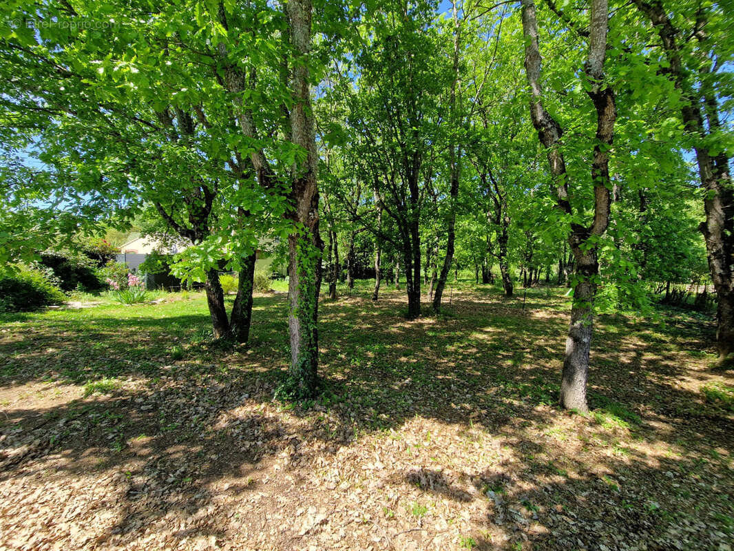 Terrain à FONSORBES