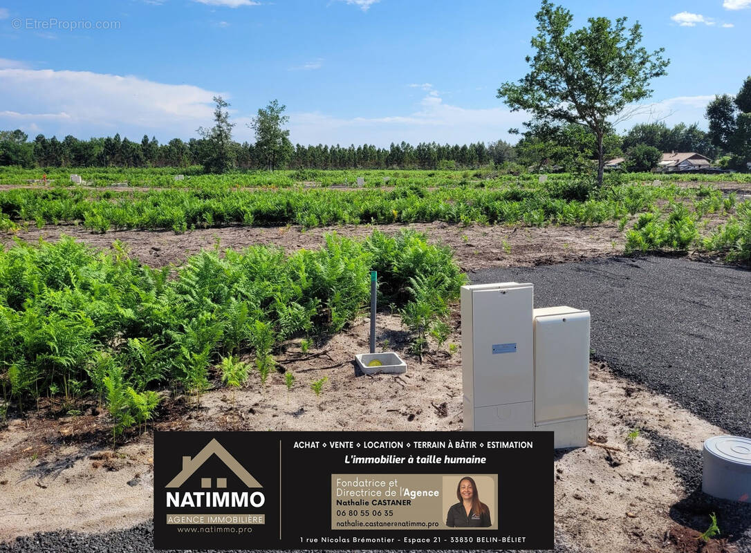 Terrain à SAINT-PAUL-EN-BORN