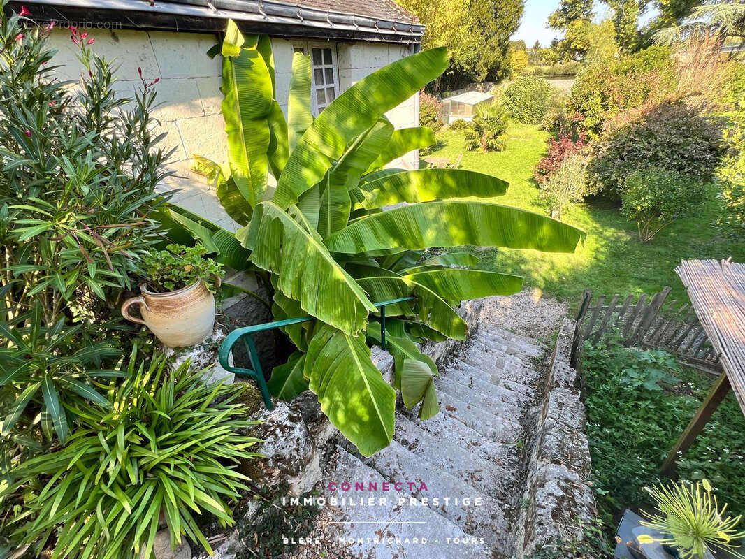 Maison à AZAY-SUR-CHER