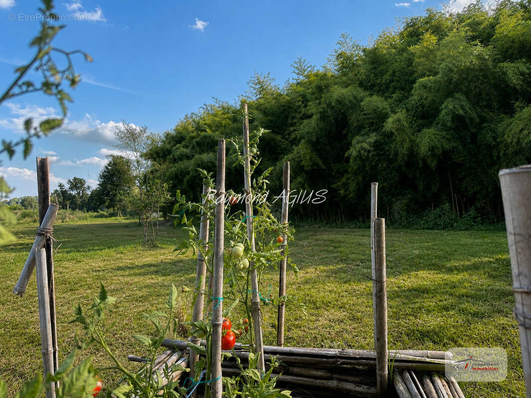 Domaine de Caractère avec Ancien Moulin et Berges Privatives, à Proximité de Saint-Émilion - photo 56