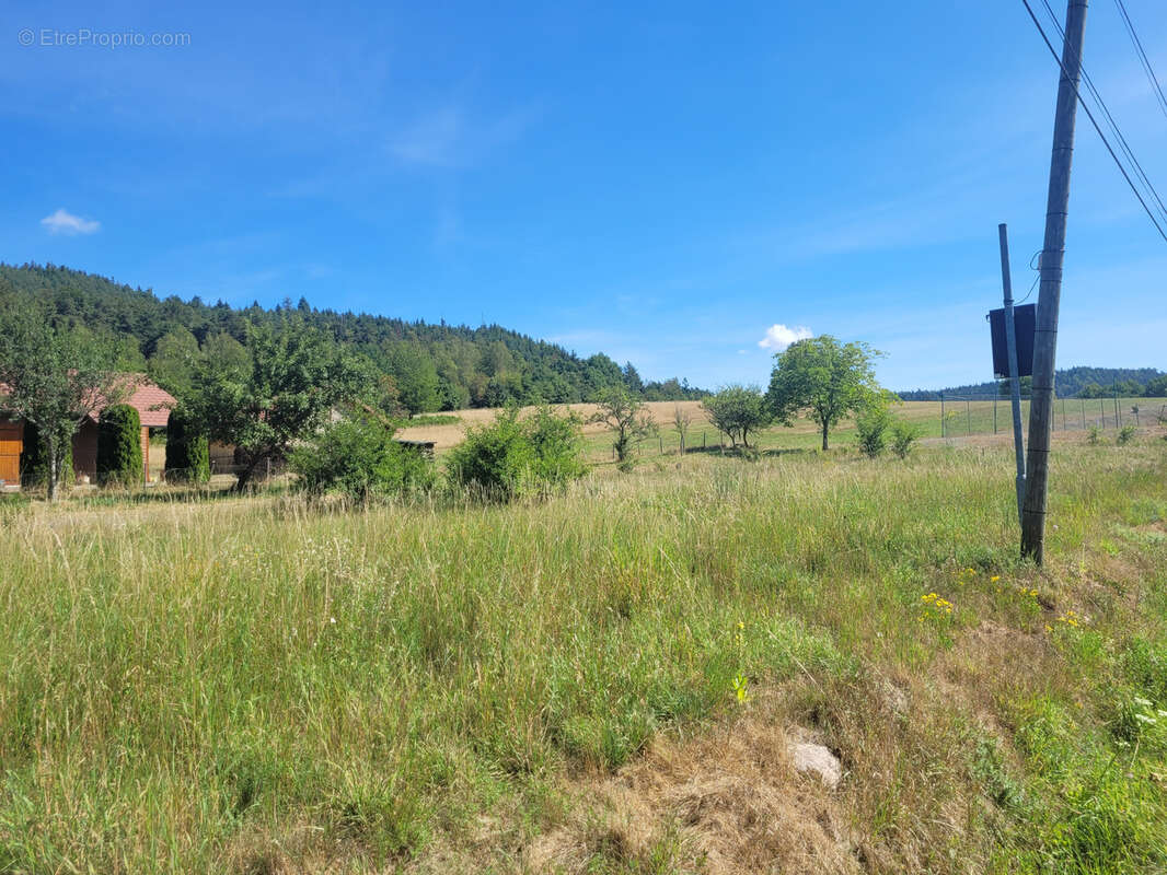 Terrain plat constructible - photo 9