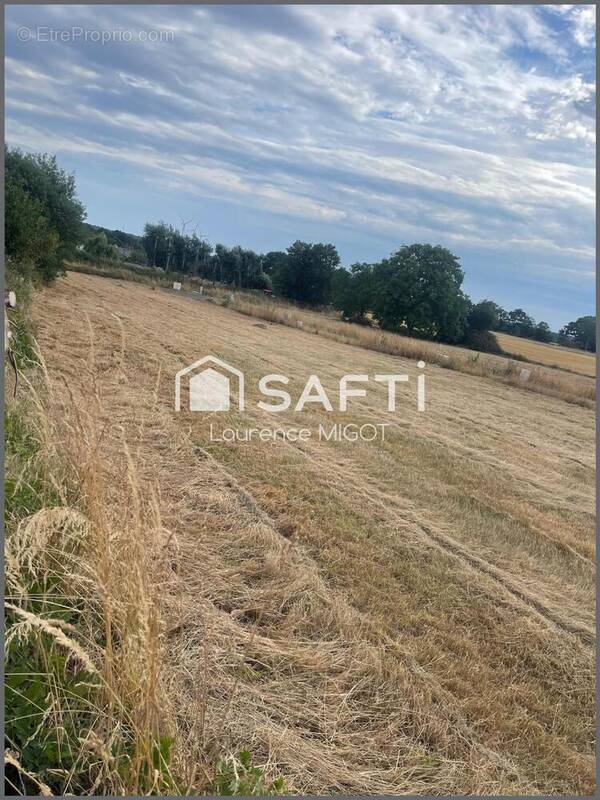 Photo 1 - Terrain à DERVAL