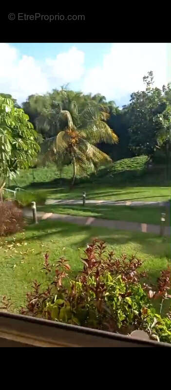 Appartement à BAIE-MAHAULT