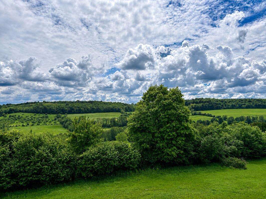 14100 Hermival  Maison 8 pièces 7000 m² de terrain 279 000 Euros - photo 14