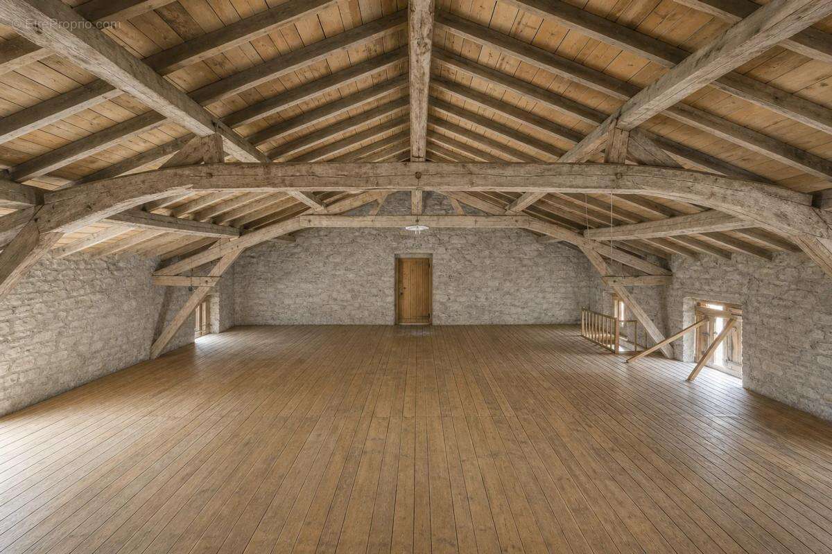 Ferme Lauragaise - Parc de 2 He au calme, à rénover - photo 3