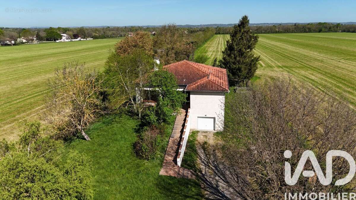 Photo 2 - Maison à MONTAUBAN