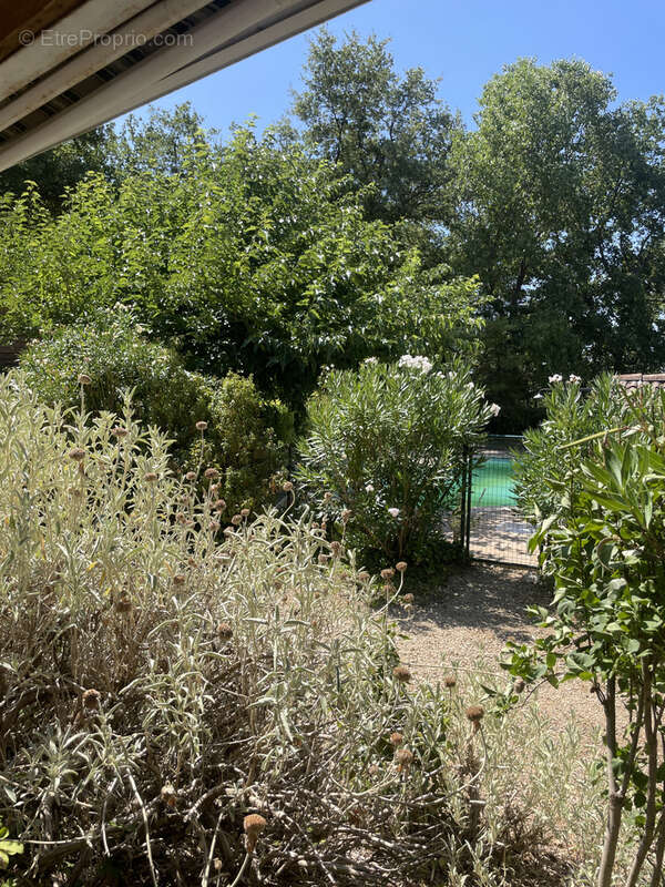 Mirabel aux baronnies / ensemble de 5 chalets sur terrain 3658m, piscine, vue - photo 17