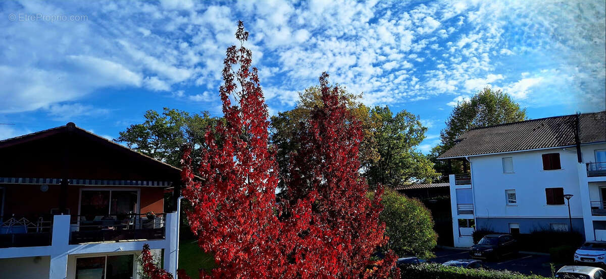 Appartement à MOUGUERRE