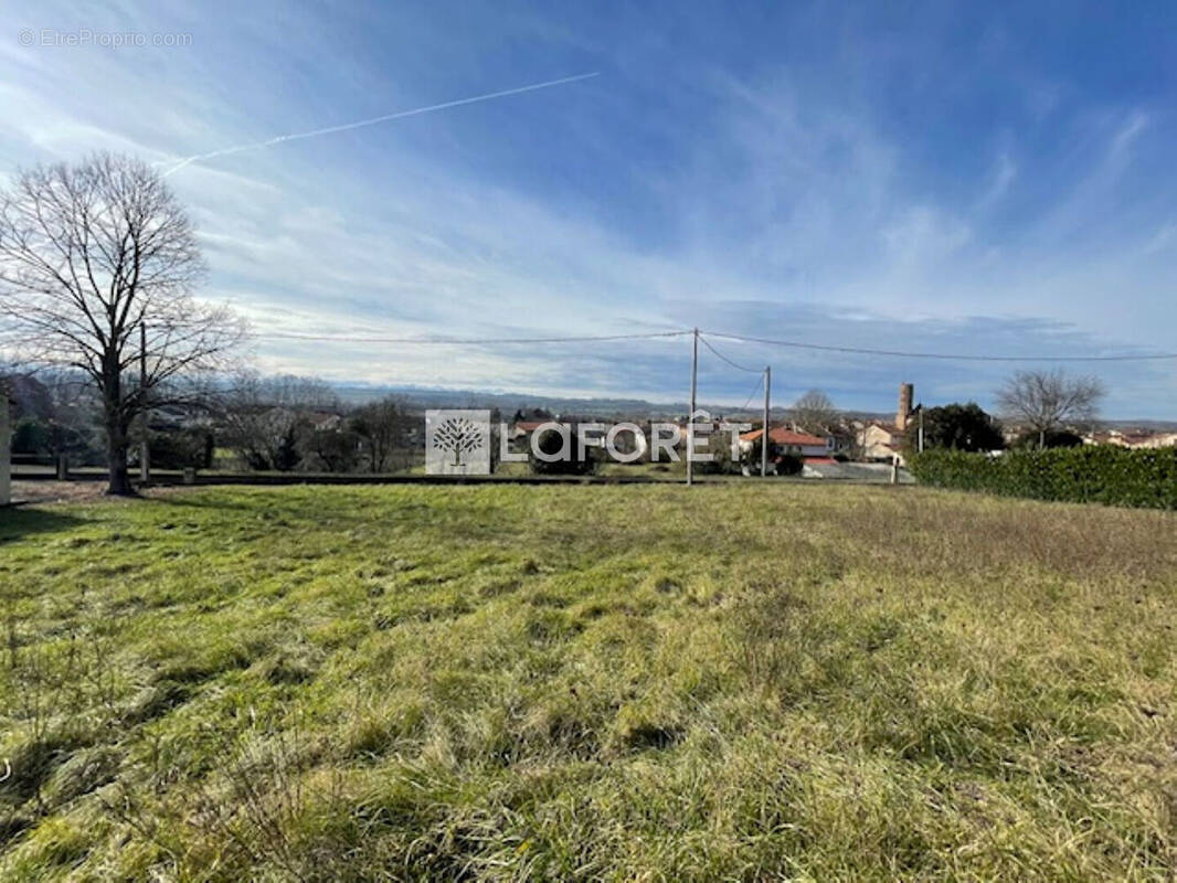 Terrain à MONTESQUIEU-VOLVESTRE