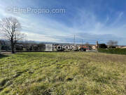 Terrain à MONTESQUIEU-VOLVESTRE