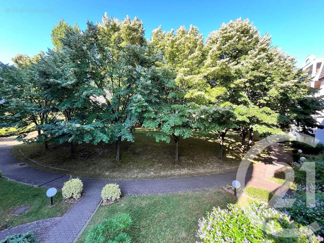 Appartement à OBERHAUSBERGEN
