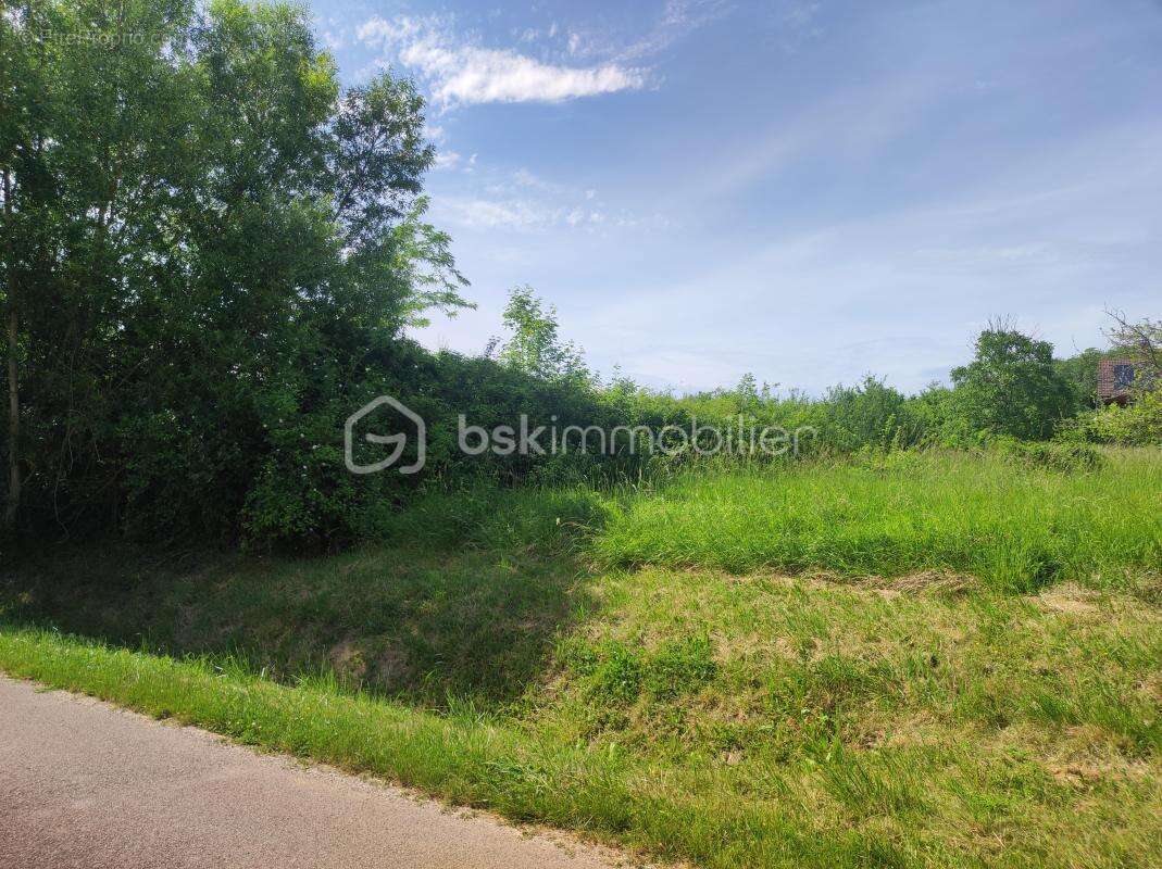  Terrain constructible de 2 530 m² – Nature, calme et potentiel - photo 2