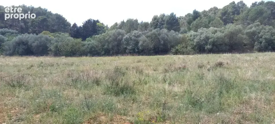 Terrain 426 m² à Bize-Minervois  - photo 2