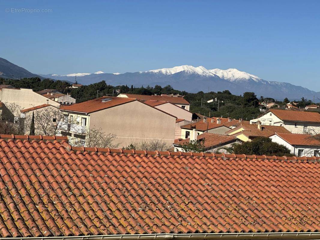 Commerce à ARGELES-SUR-MER