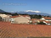 Commerce à ARGELES-SUR-MER