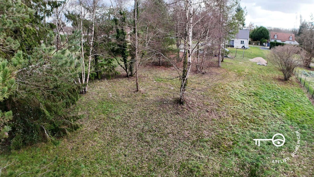Terrain à MONTRIEUX-EN-SOLOGNE