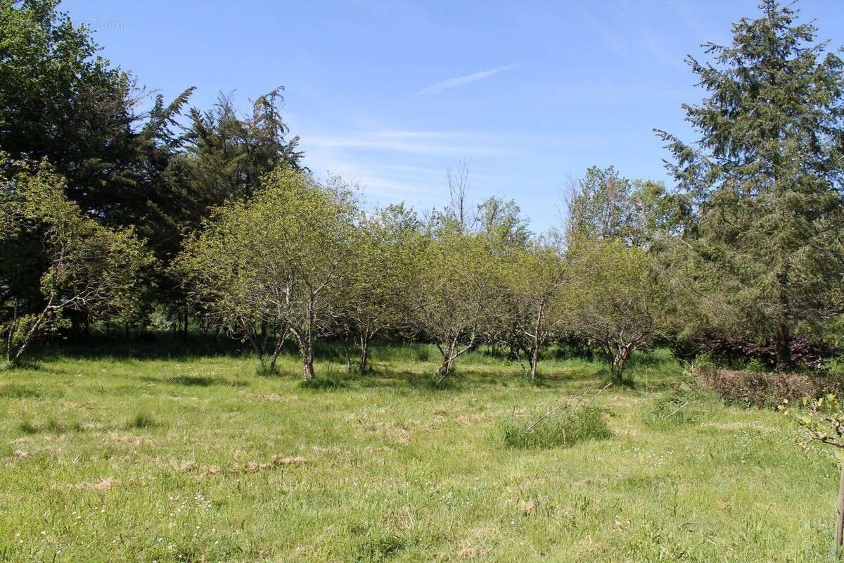 Maison à NEONS-SUR-CREUSE