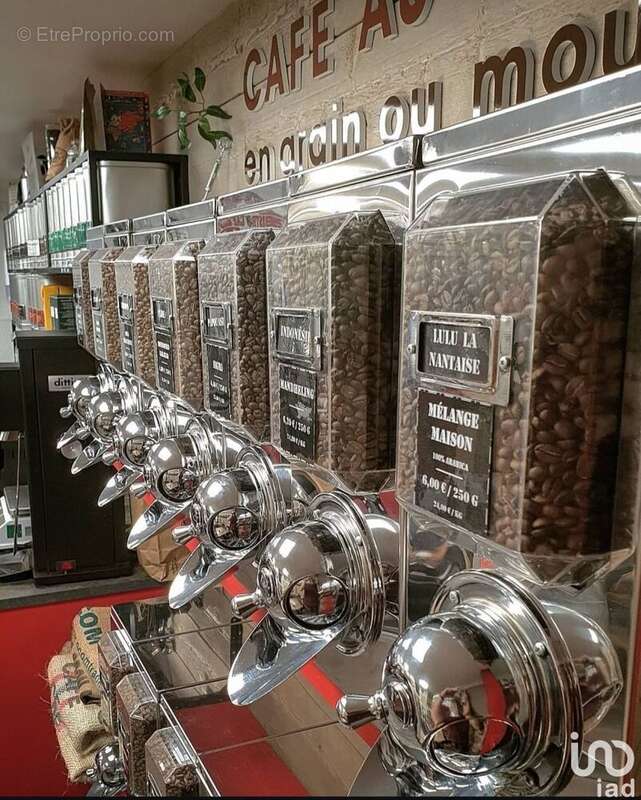 Photo 5 - Commerce à RIVEDOUX-PLAGE