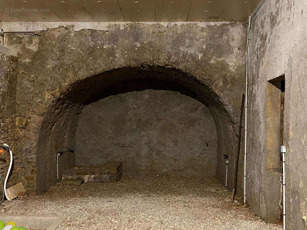 RARE sur Arbois : 2 maisons avec un ancien moulin - photo 18