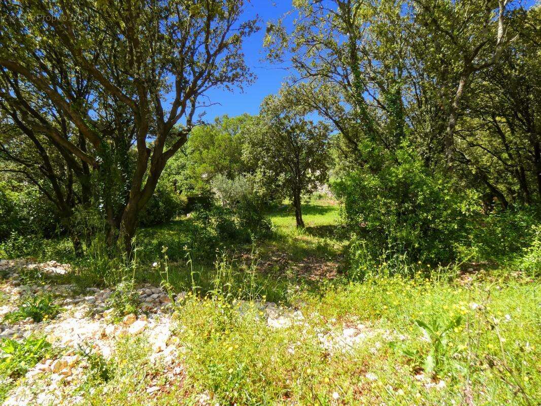 Terrain À Vendre vue panoramique 8 264m2 - photo 8