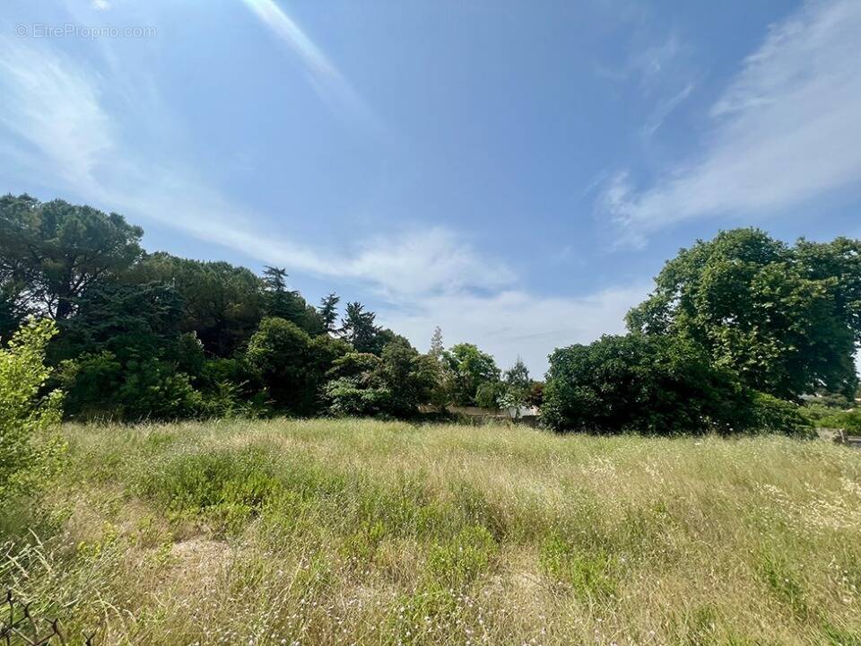 Terrain à SAINT-GENIES-DES-MOURGUES