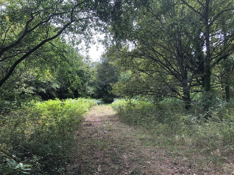 Maison à SAINT-ANDRE-DE-CUBZAC