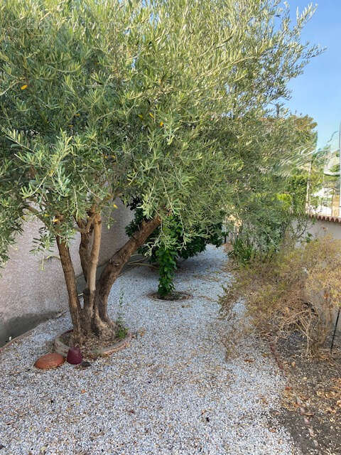 Villa 3 chambres avec sous-sol et garage - photo 2