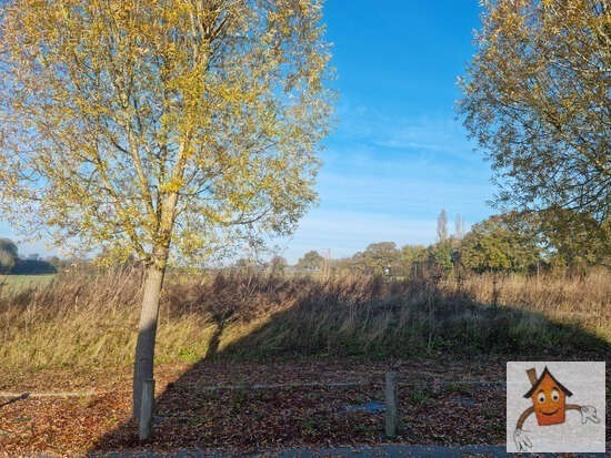 Terrain à MAROLLES-LES-SAINT-CALAIS