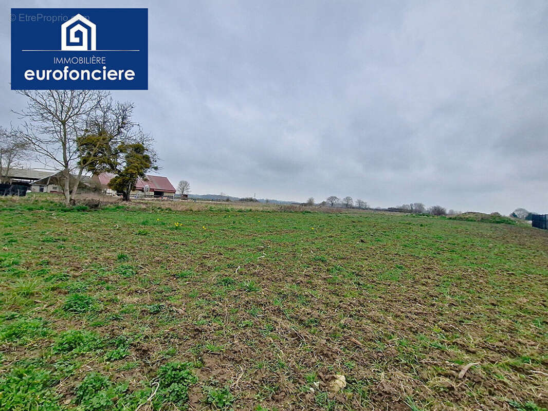 Terrain à LES BORDES-AUMONT