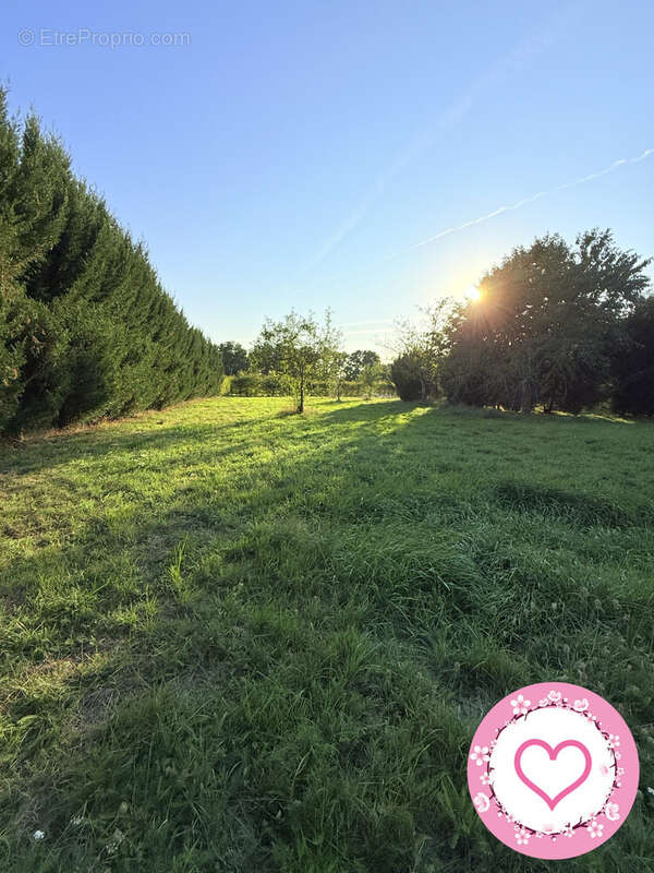 Maison à BRAY-EN-VAL