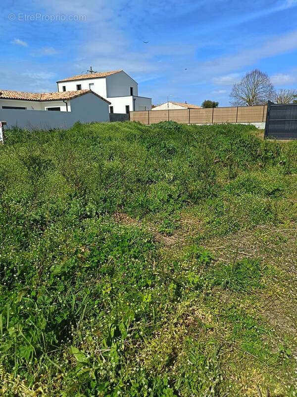 Terrain à LA ROCHELLE